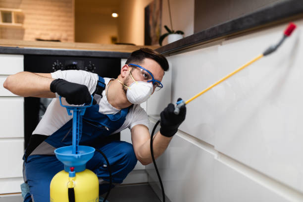 Best Affordable Pest Control Services  in Apple Mountain Lake, VA