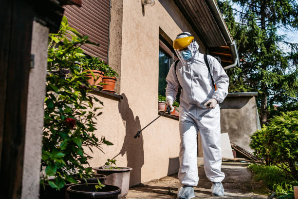 Best Emergency Pest Control  in Apple Mountain Lake, VA