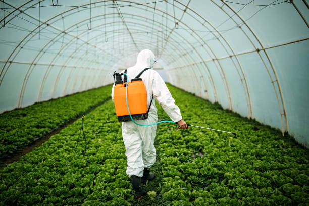 Best Commercial Pest Control Services  in Apple Mountain Lake, VA