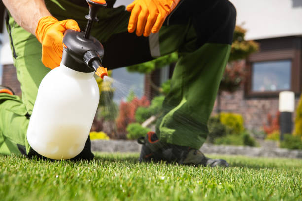 Best Pest Removal Services  in Apple Mountain Lake, VA