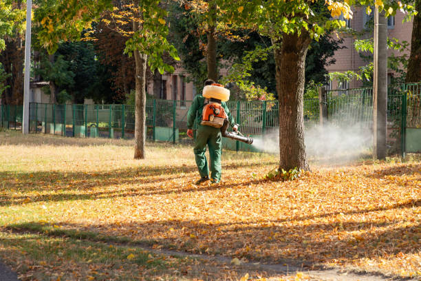 Best Pest Control Near Me  in Apple Mountain Lake, VA