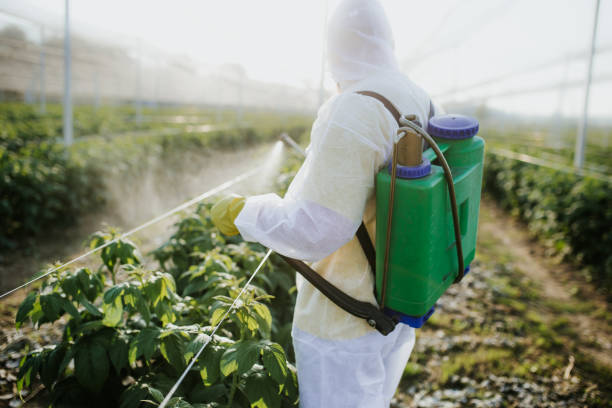  Apple Mountain Lake, VA Pest Control Pros